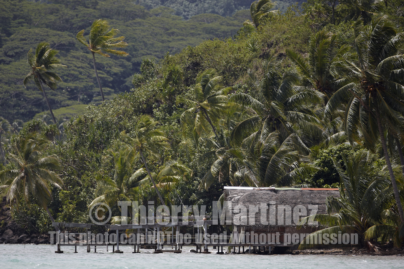 15_023307  ©ThMartinez Sea&Co.  HUAHINE - ILES SOUS LE VENT. POLYNESIE FRANCAISE . 31 January 2015. .