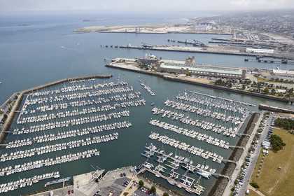 THM-20_07716_DRHEAM CUP