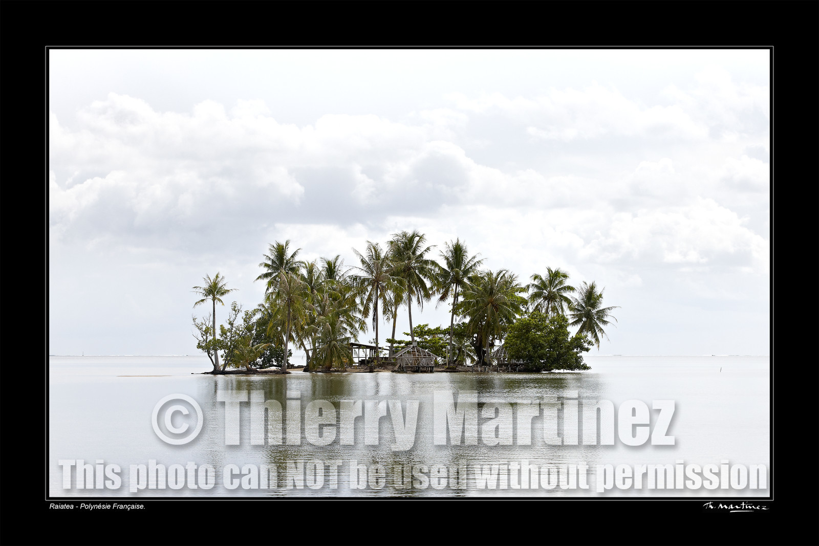 15_24426-fond noir-.jpg