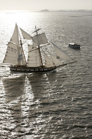 Semaine du Golfe 2015. Parade d'arrivée de la flotte.
