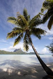 15_025850  ©ThMartinez Sea&Co.  BORA BORA - ILES SOUS LE VENT. POLYNESIE FRANCAISE .  6 Février 2015. . Bora Bora depuis Eden Beach Bora Bora..