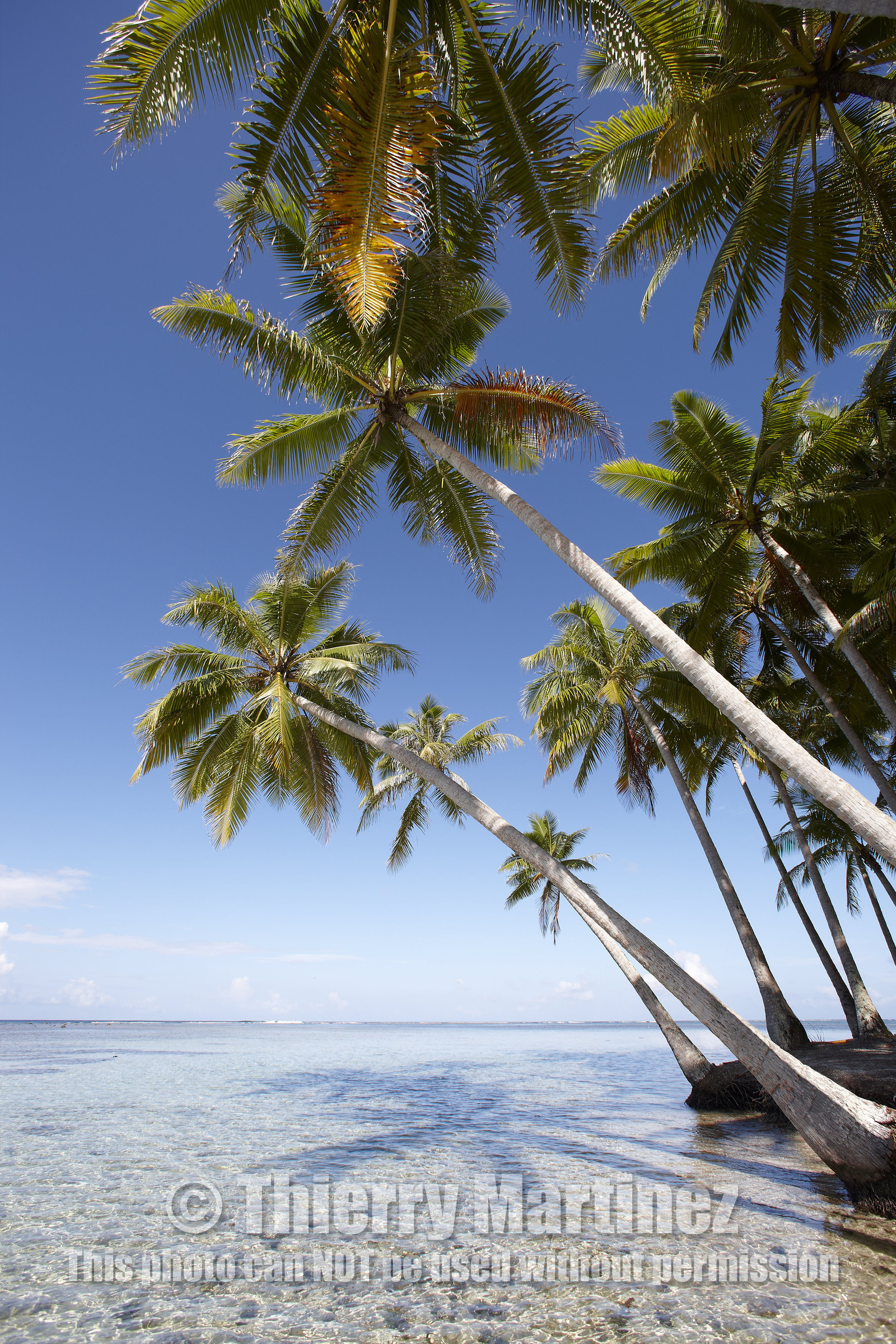 15_024863  ©ThMartinez Sea&Co.  RAIATEA - ILES SOUS LE VENT. POLYNESIE FRANCAISE .  2 Février 2015. ..MOTU dans le lagon de Raiatea.