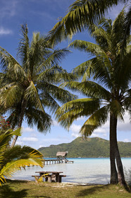 15_025939  ©ThMartinez Sea&Co.  BORA BORA - ILES SOUS LE VENT. POLYNESIE FRANCAISE .  6 Février 2015. . Bora Bora depuis Eden Beach Bora Bora..