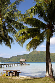 15_025867  ©ThMartinez Sea&Co.  BORA BORA - ILES SOUS LE VENT. POLYNESIE FRANCAISE .  6 Février 2015. . Bora Bora depuis Eden Beach Bora Bora..