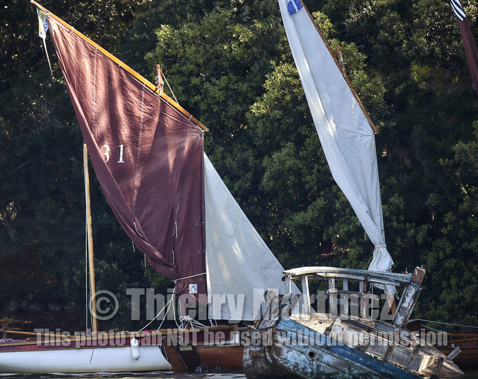 THM-17_011736-Semaine du Golfe