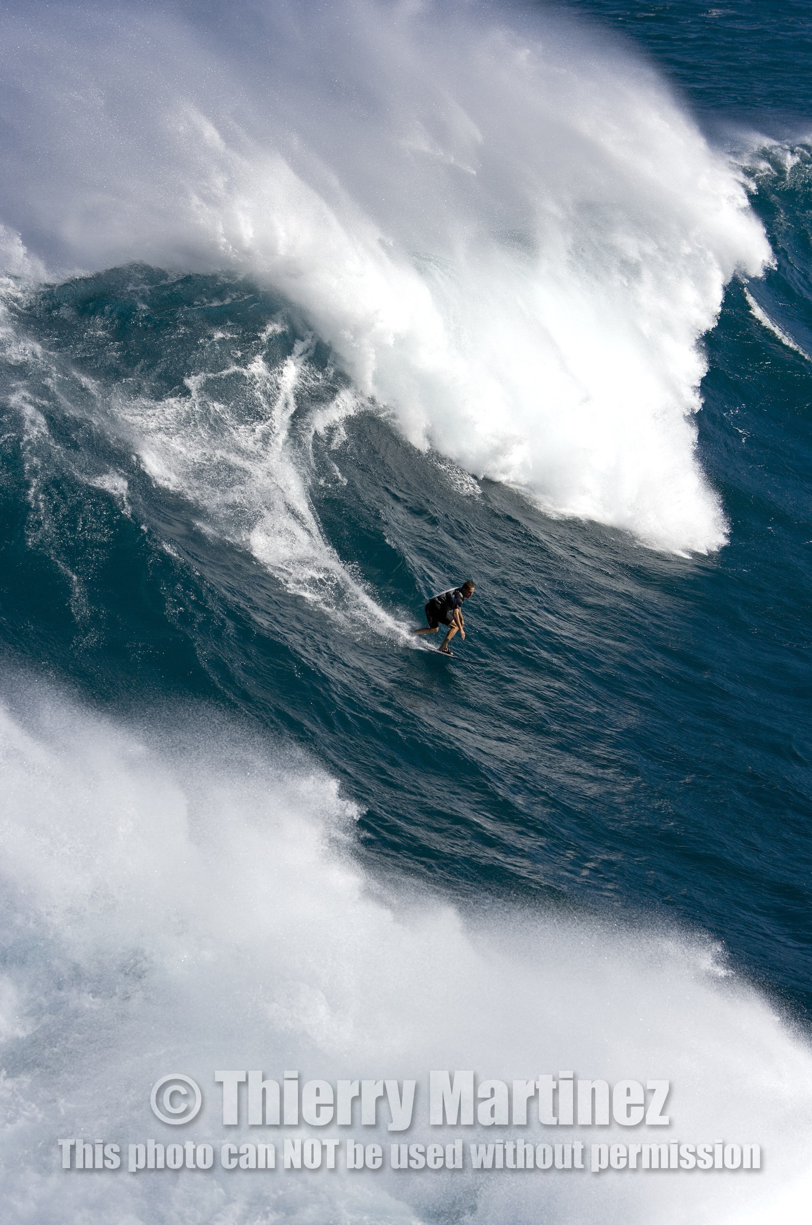 MAUI - HAWAII - USA . Jan 2007.