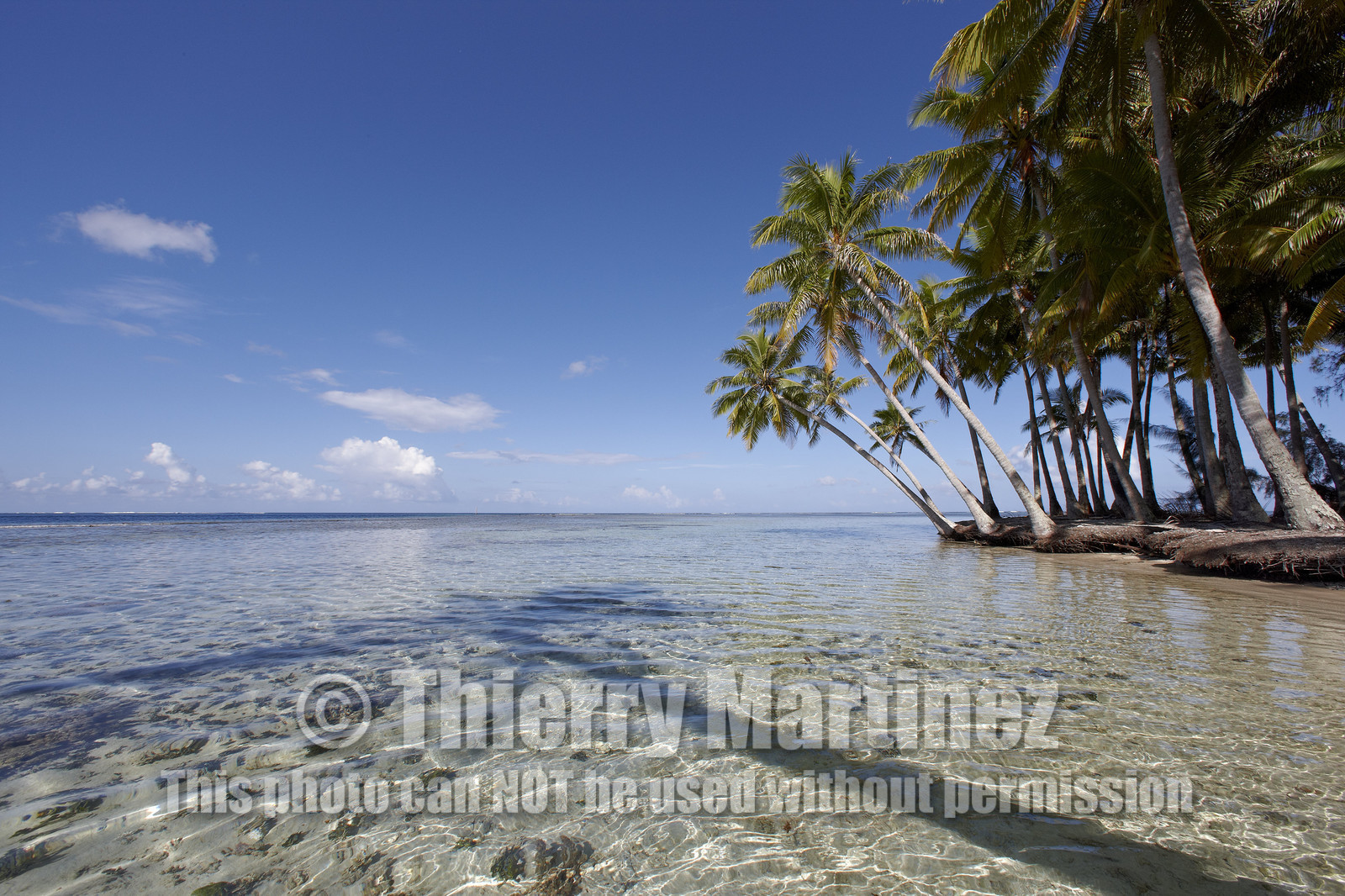 15_024817  ©ThMartinez Sea&Co.  RAIATEA - ILES SOUS LE VENT. POLYNESIE FRANCAISE .  2 Février 2015. ..