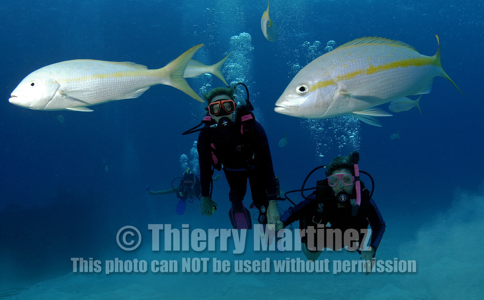 NASSAU , BAHAMAS. September 2006..