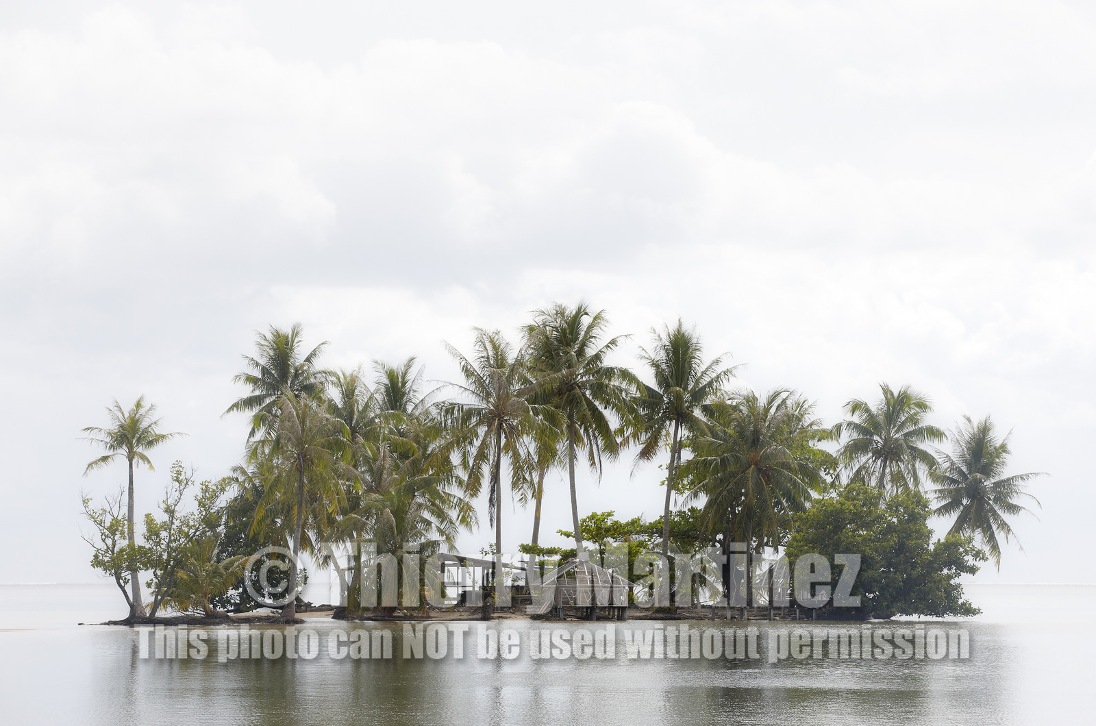 15_024422  ©ThMartinez Sea&Co.  RAIATEA - ILES SOUS LE VENT. POLYNESIE FRANCAISE .  2 Février 2015. ..MOTU dans le lagon de Raiatea.