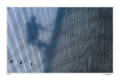 Photo disponible en tirage photo Fine Art,tirage original limités à 30 exemplaires.Chaque tirage est numéroté avec certificat d’authenticité signé.Pour choisir le format et support merci d'utiliser le caddie à coté de la photo.Formats disponibles : Tirage sur papier ( tirage seul) :  30x45 cm   40x60 cm  60x90 cm. Vous pouvez choisir le tirage avec un fond blanc ou noir , à votre convenance. Tirage sur papier contrecollé sur Dibond ( pas de bord blanc ou noir autour de l'image), avec système d'attache au dos:  30x45 cm   40x60 cm  50x75 cm  80x120cm.Tirage sur toile ( Canvas) monté sur chassis bois (pas de bord blanc ou noir autour de l'image), avec système d'attache au dos :  50x75 cm  80x120cm.Expédition ( Dans le monde entier): Colissimo (assurance) avec signature à réception. 48h pour la France métropolitaine.Il est possible de récupérer les tirages à La Galerie du Golfe (sans frais d'expèdition).Conditionnement tirages seuls: tube cylindrique renforcé + boite.