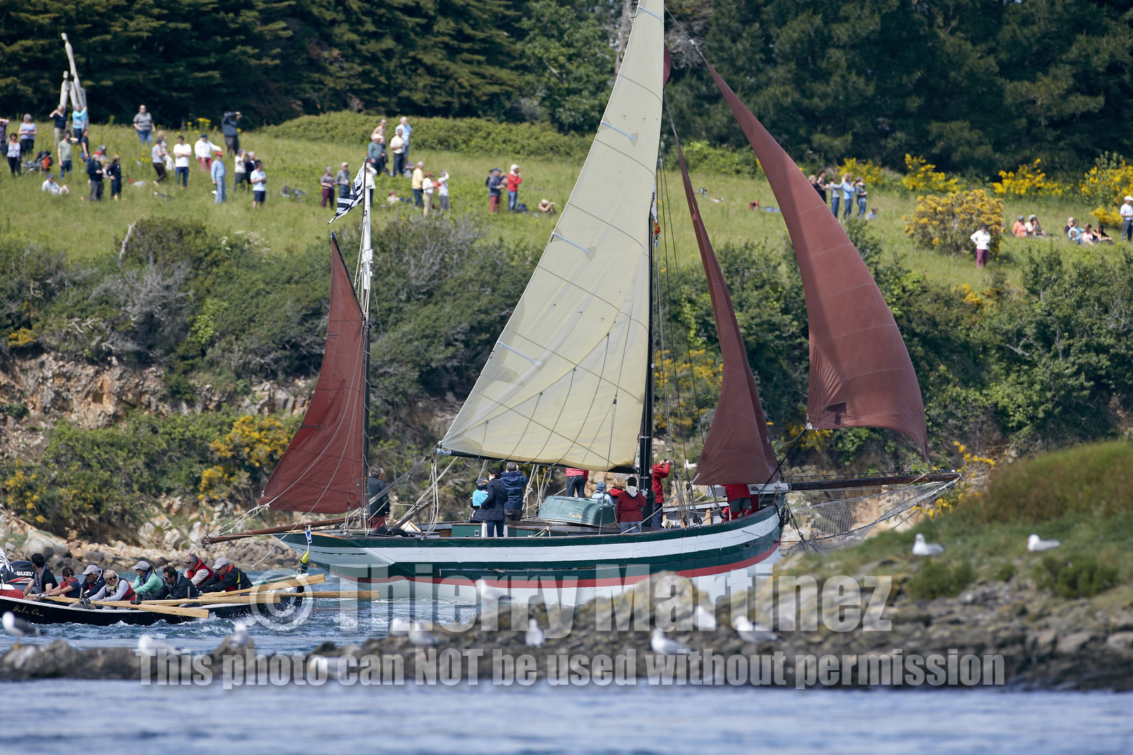 THM-15_47918-SEMAINE du Golfe