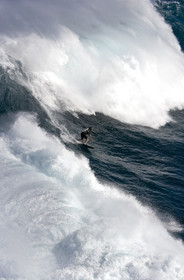 MAUI - HAWAII - USA . Jan 2007.