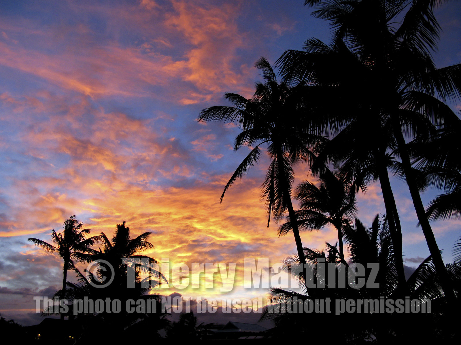 Maui - Hawaii Jan-Feb 2007