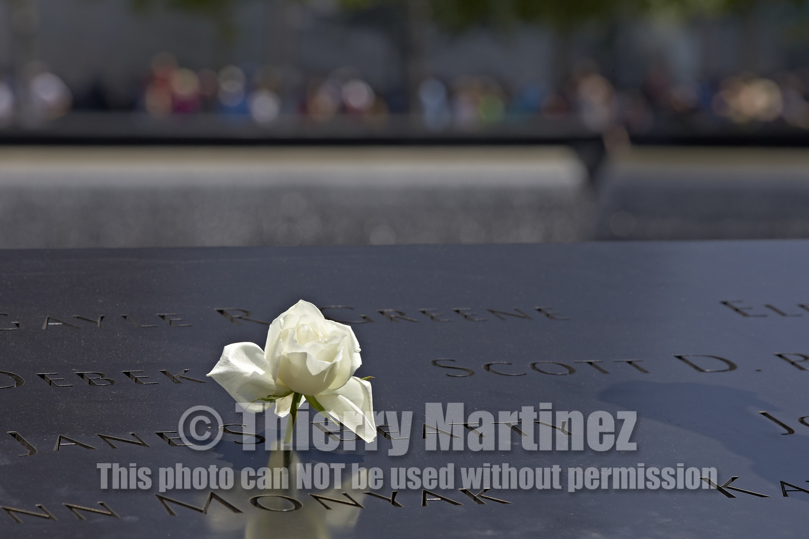 New York City (USA).