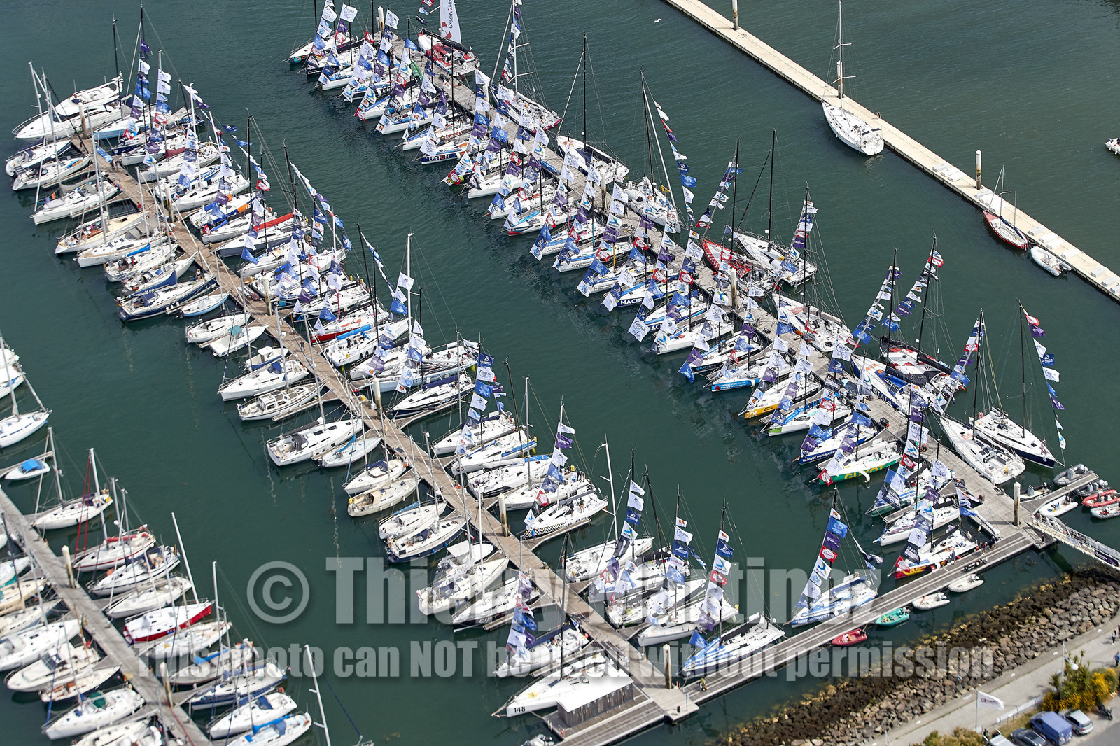 THM-20_08330_DRHEAM CUP