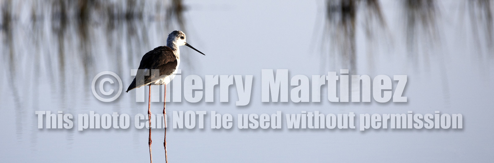 12_08846 LOCMARIAQUER