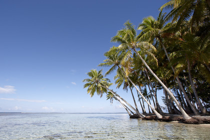 15_024823  ©ThMartinez Sea&Co.  RAIATEA - ILES SOUS LE VENT. POLYNESIE FRANCAISE .  2 Février 2015. ..MOTU dans le lagon de Raiatea.