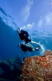 Diving in Maui HAWAII - USA . Jan 2007.