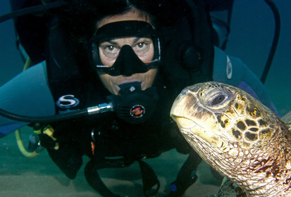 Diving in Maui HAWAII - USA . Jan 2007.