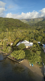 THM-18_038039_TEMEHANI