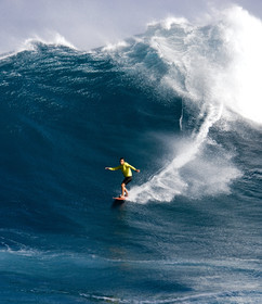 MAUI - HAWAII - USA . Jan 2007.