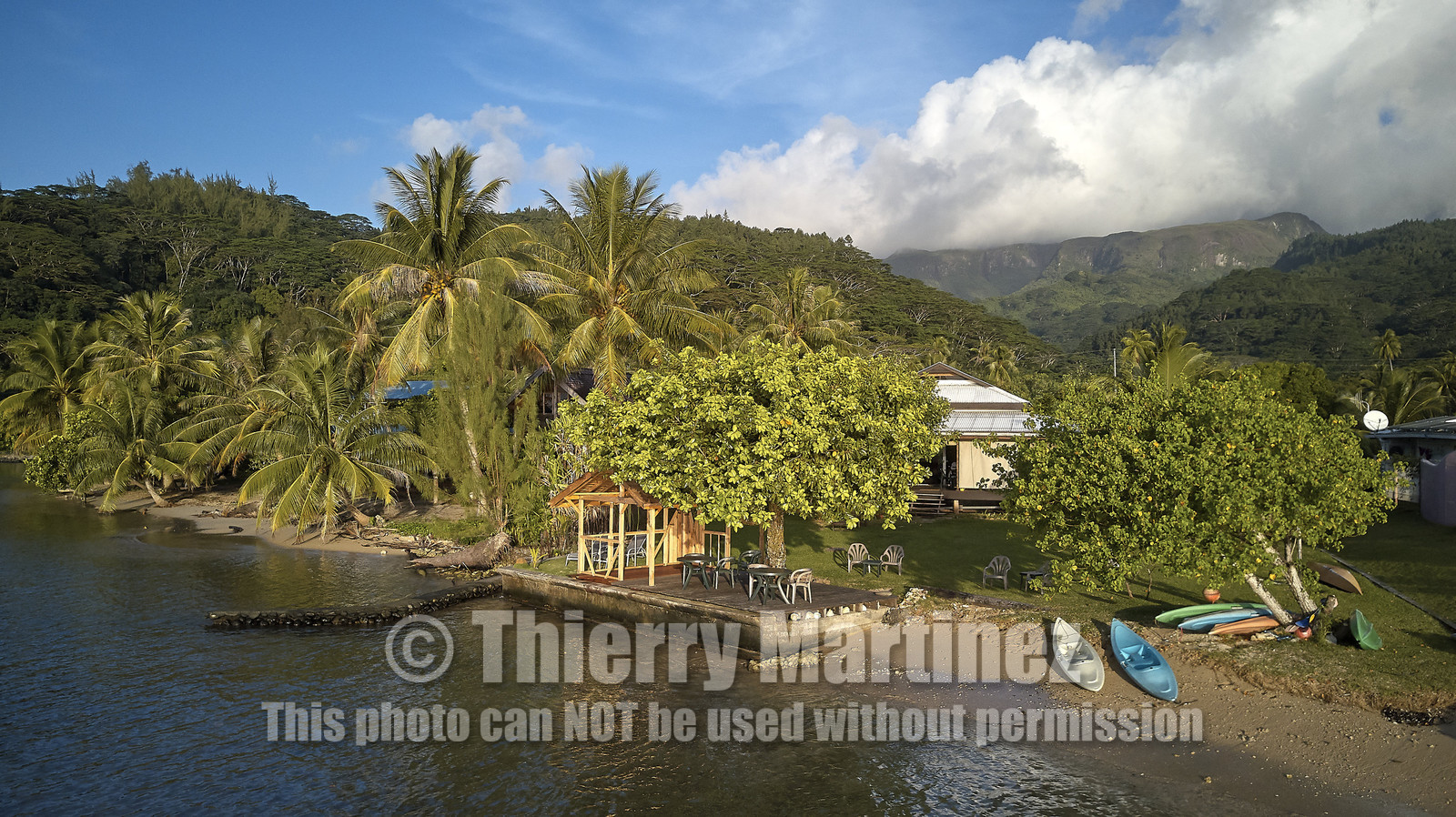 THM-18_038019_TEMEHANI