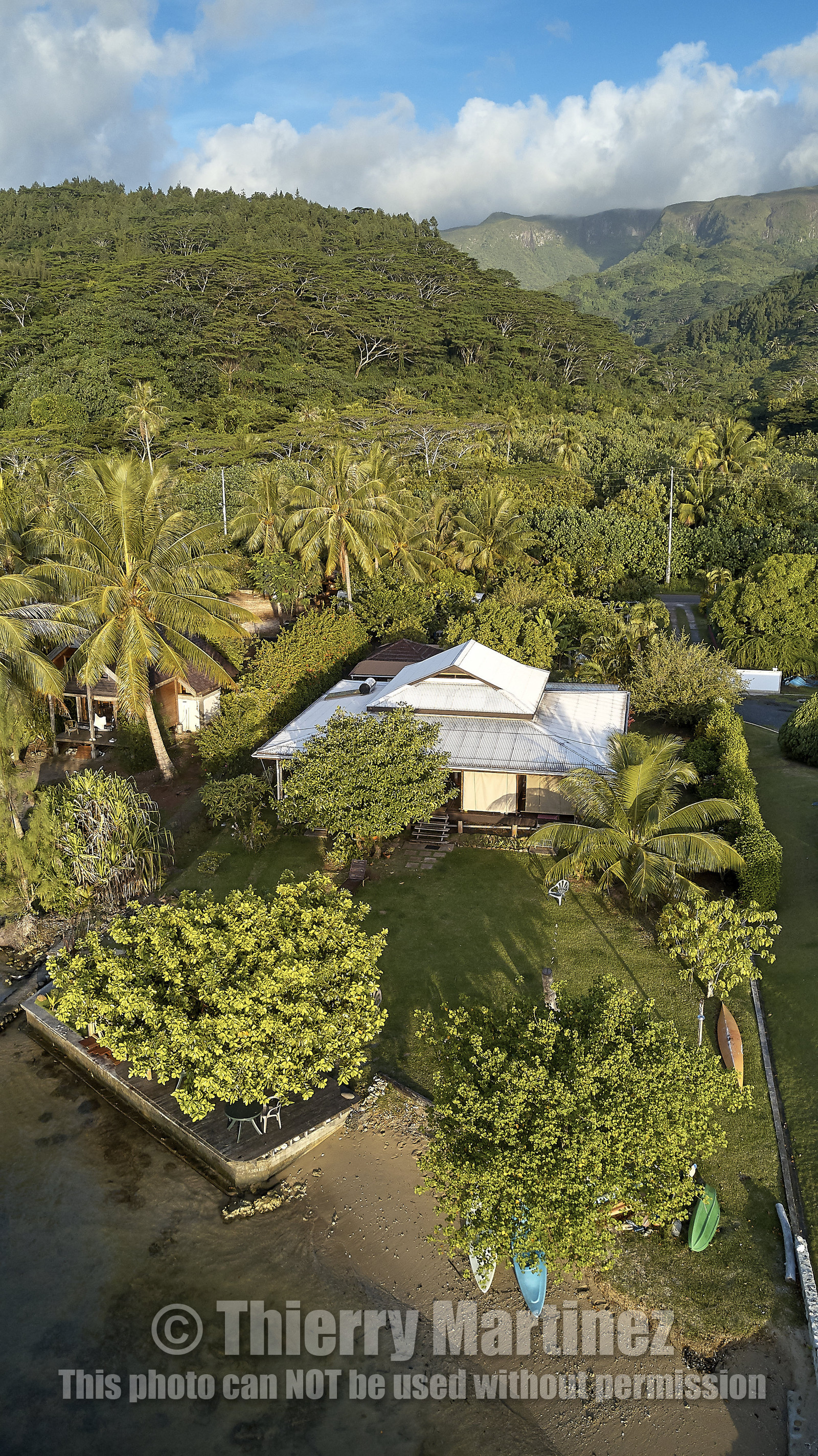 THM-18_038038_TEMEHANI