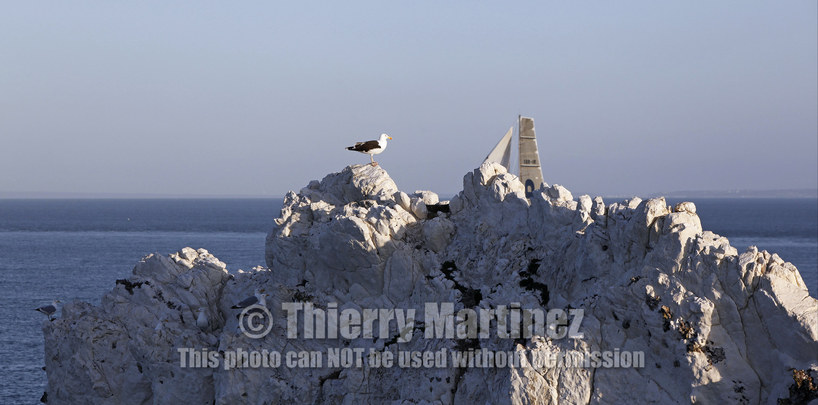 JP Morgan Asset Management Round The Island Race. 19 June 2010.