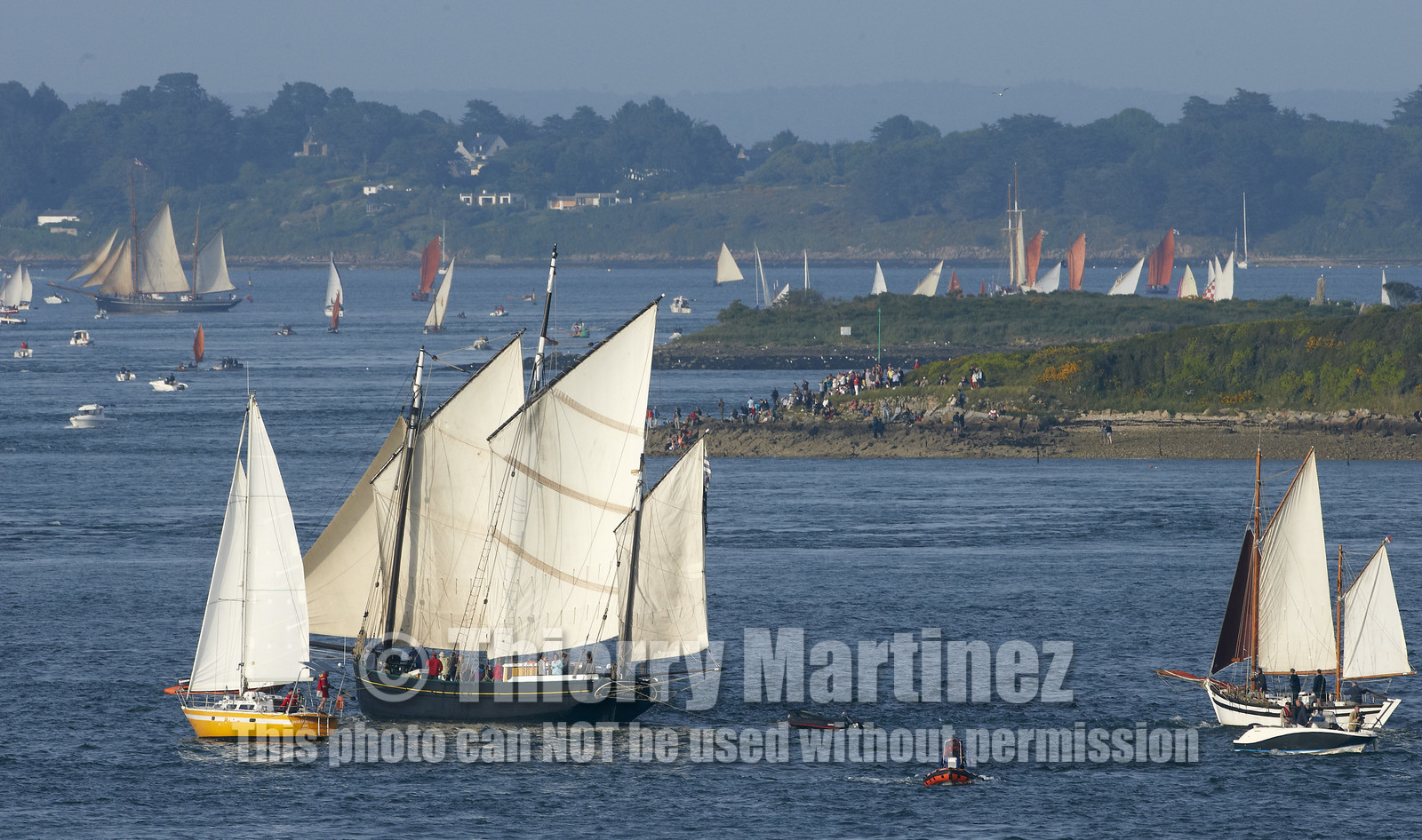 Semaine du Golfe 2015. Parade d'arrivée de la flotte.