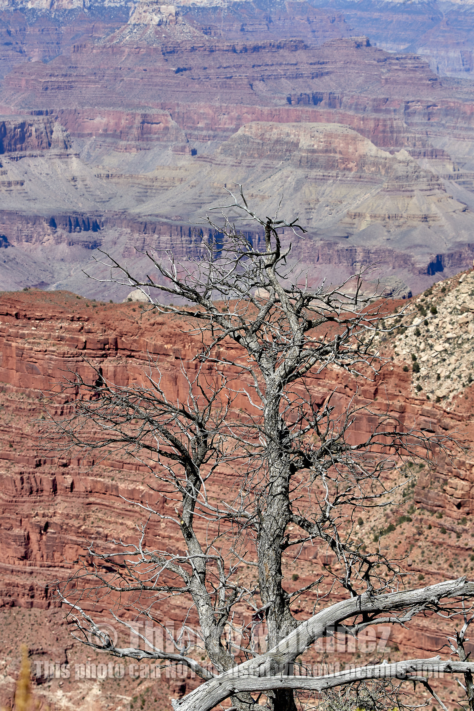 THM-18_057269-GRAND CANYON