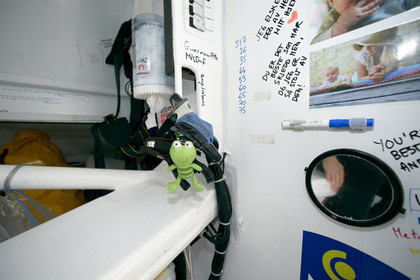 2012 13 VENDEE GLOBE. François Gabart (FRA) MACIF  Winner .