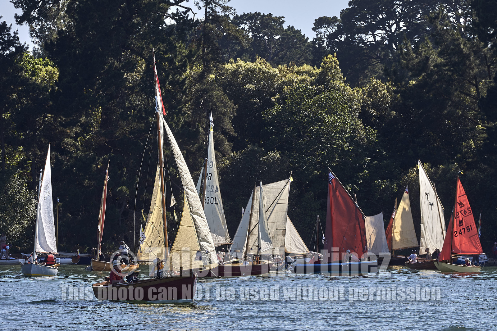 THM-17_011791-Semaine du Golfe