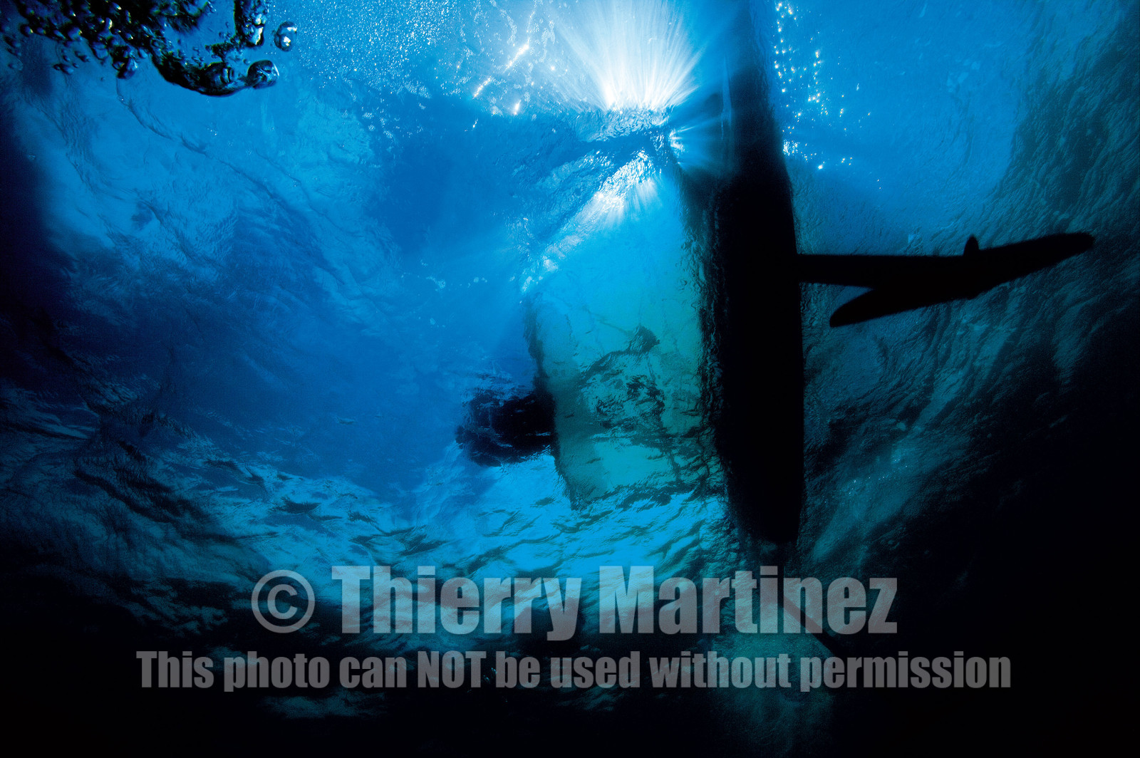 Moth International - Bladerider - Blairgowrie VICTORIA - AUSTRALIE . Feb 2007.