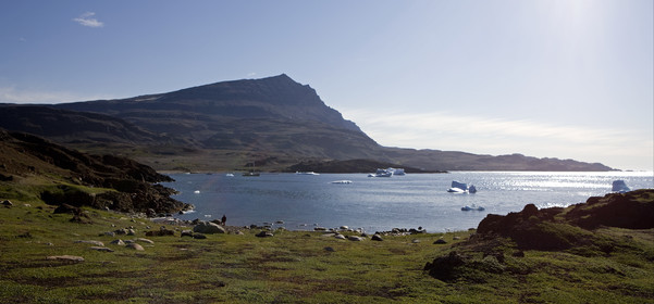 Schooner LA LOUISE sailing on west coast of Greenland.