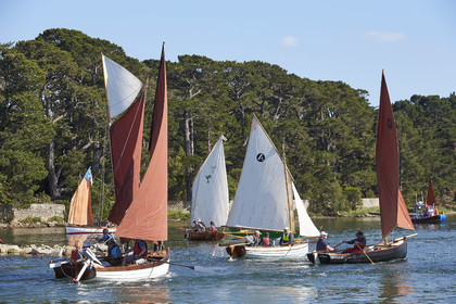 THM-17_011849-Semaine du Golfe