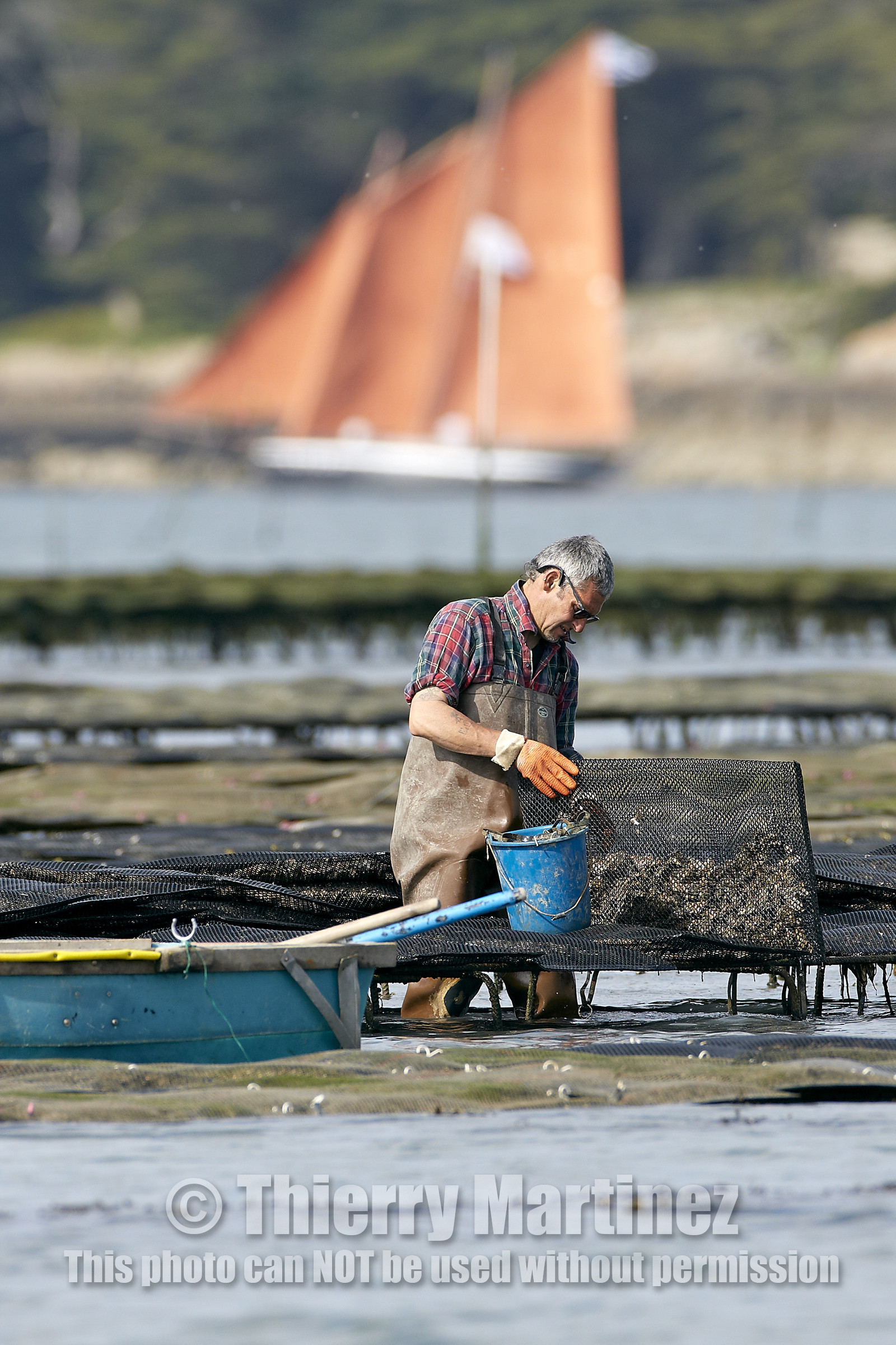 THM-15_46039-SEMAINE du Golfe