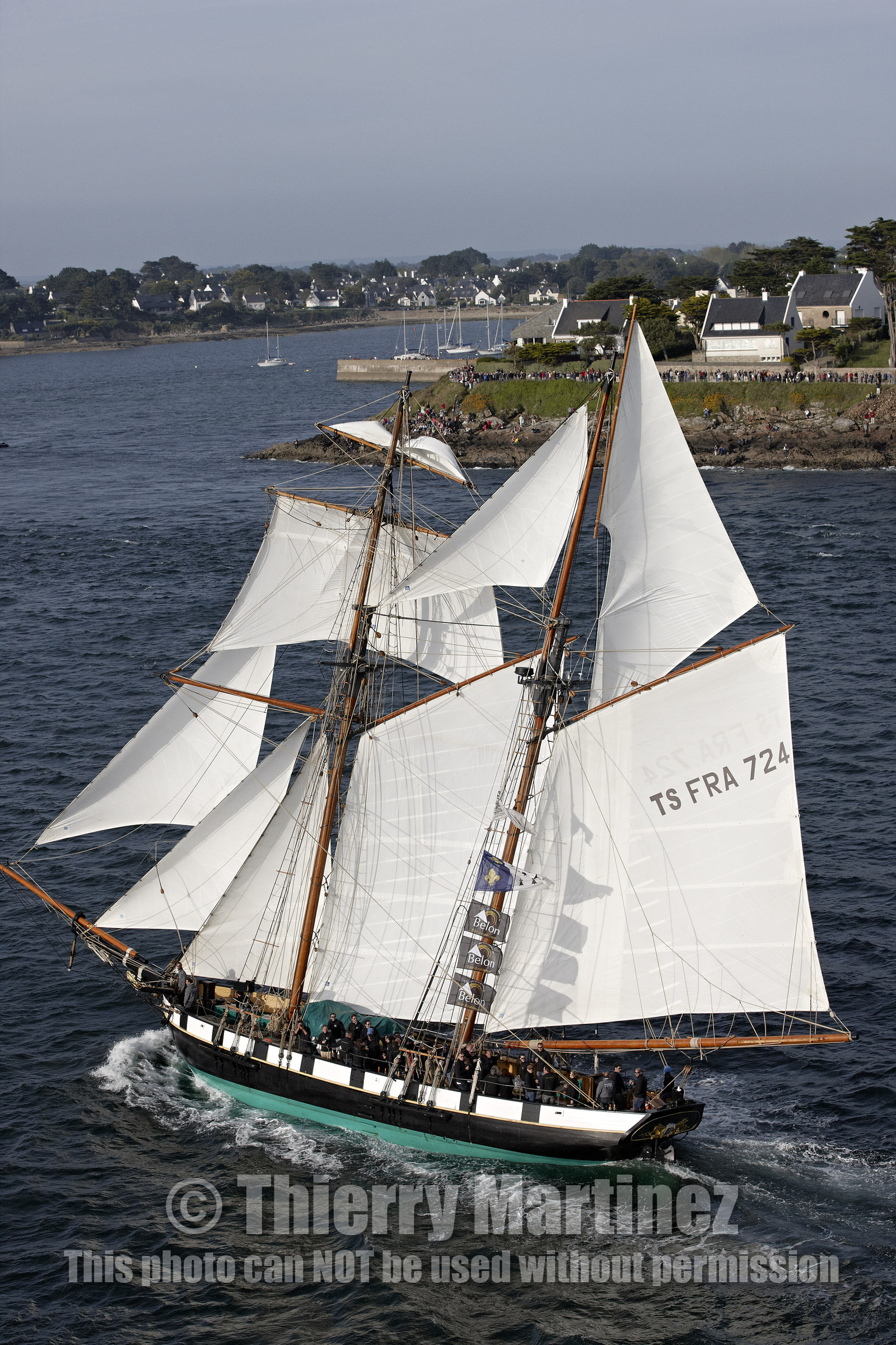 Semaine du Golfe 2015. Parade d'arrivée de la flotte.