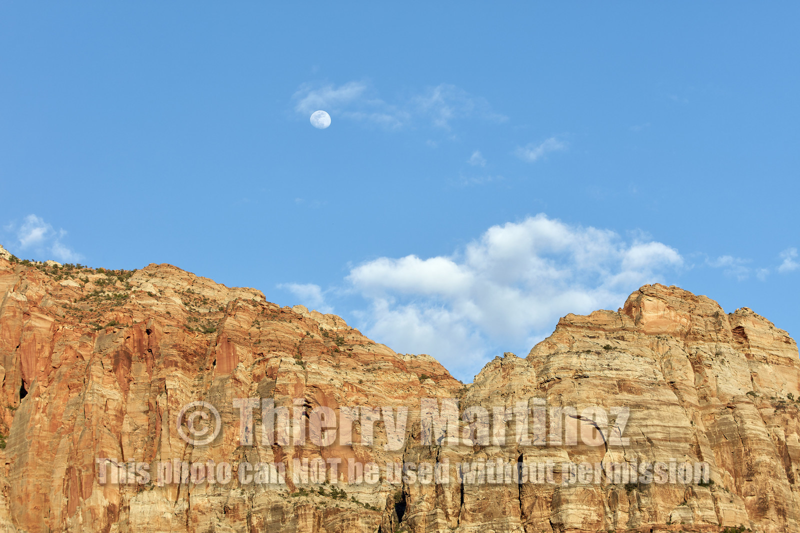 THM-18_052265-ZION Canyon