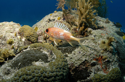 NASSAU , BAHAMAS. September 2006..