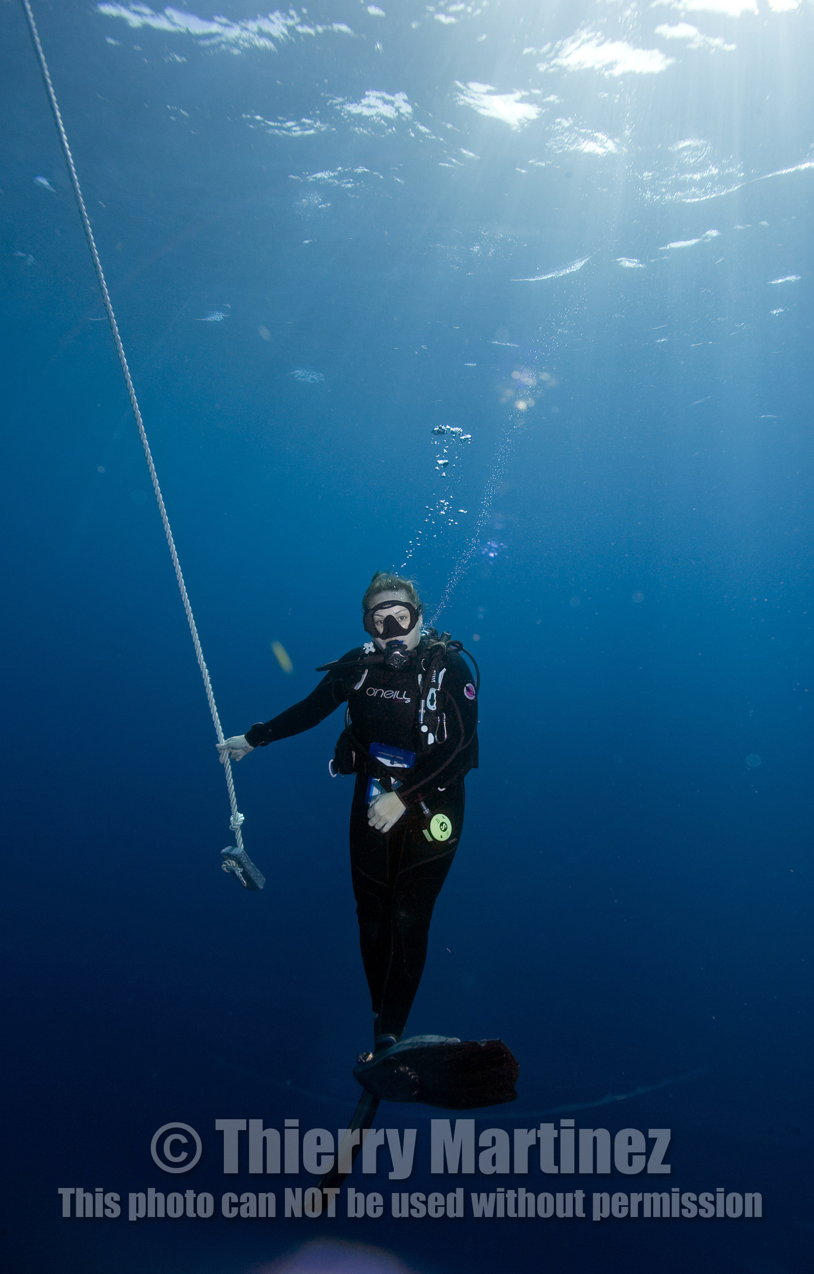 DIVING IN BAHAMAS. Dec 2006.