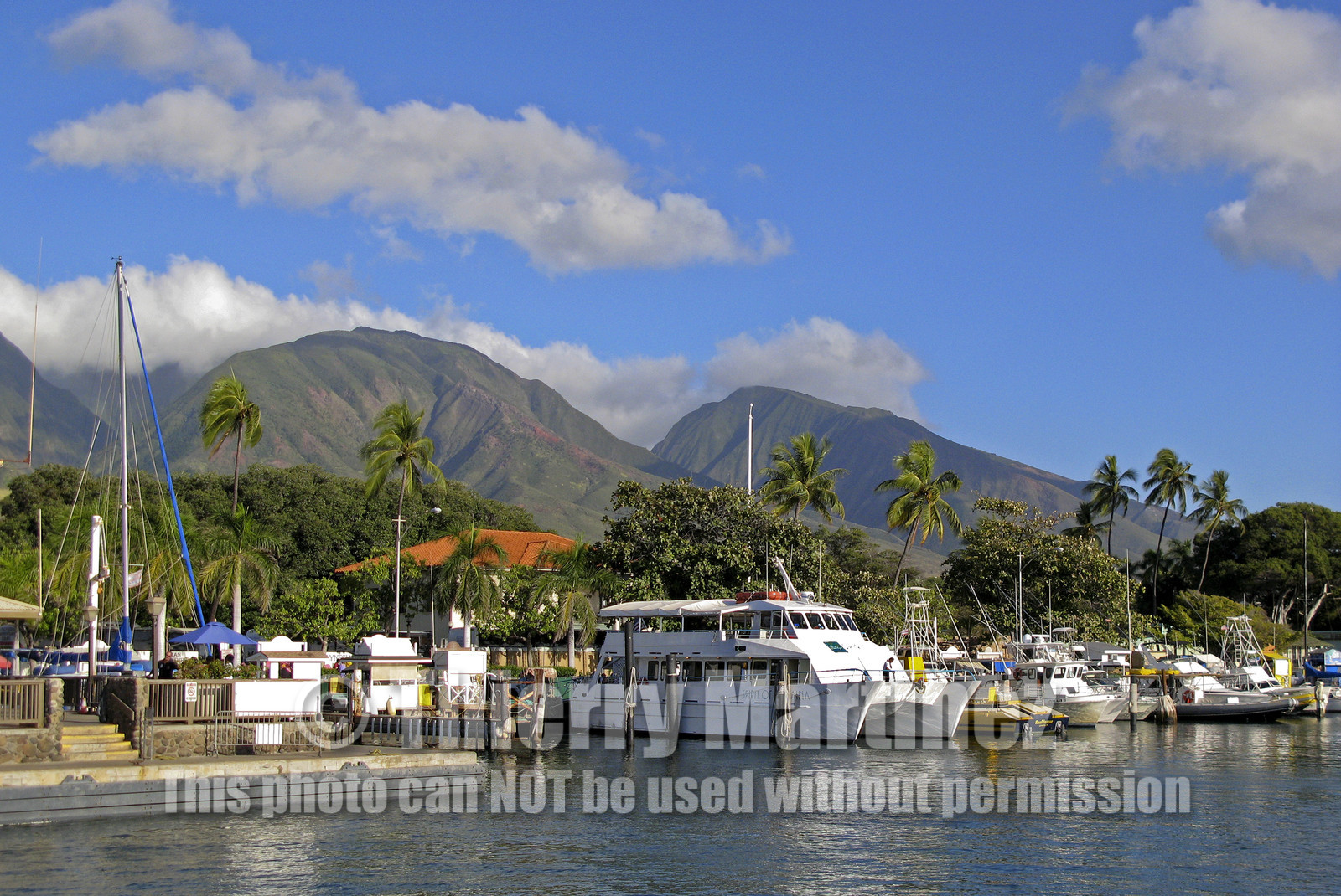Diving in Maui HAWAII - USA . Jan 2007.