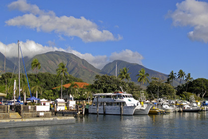 Diving in Maui HAWAII - USA . Jan 2007.