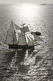 Semaine du Golfe 2015. Parade d'arrivée de la flotte.