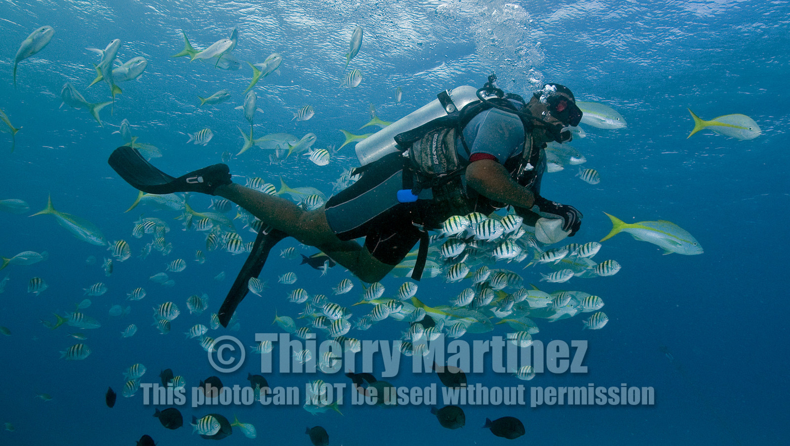 DIVING IN BAHAMAS. Dec 2006.