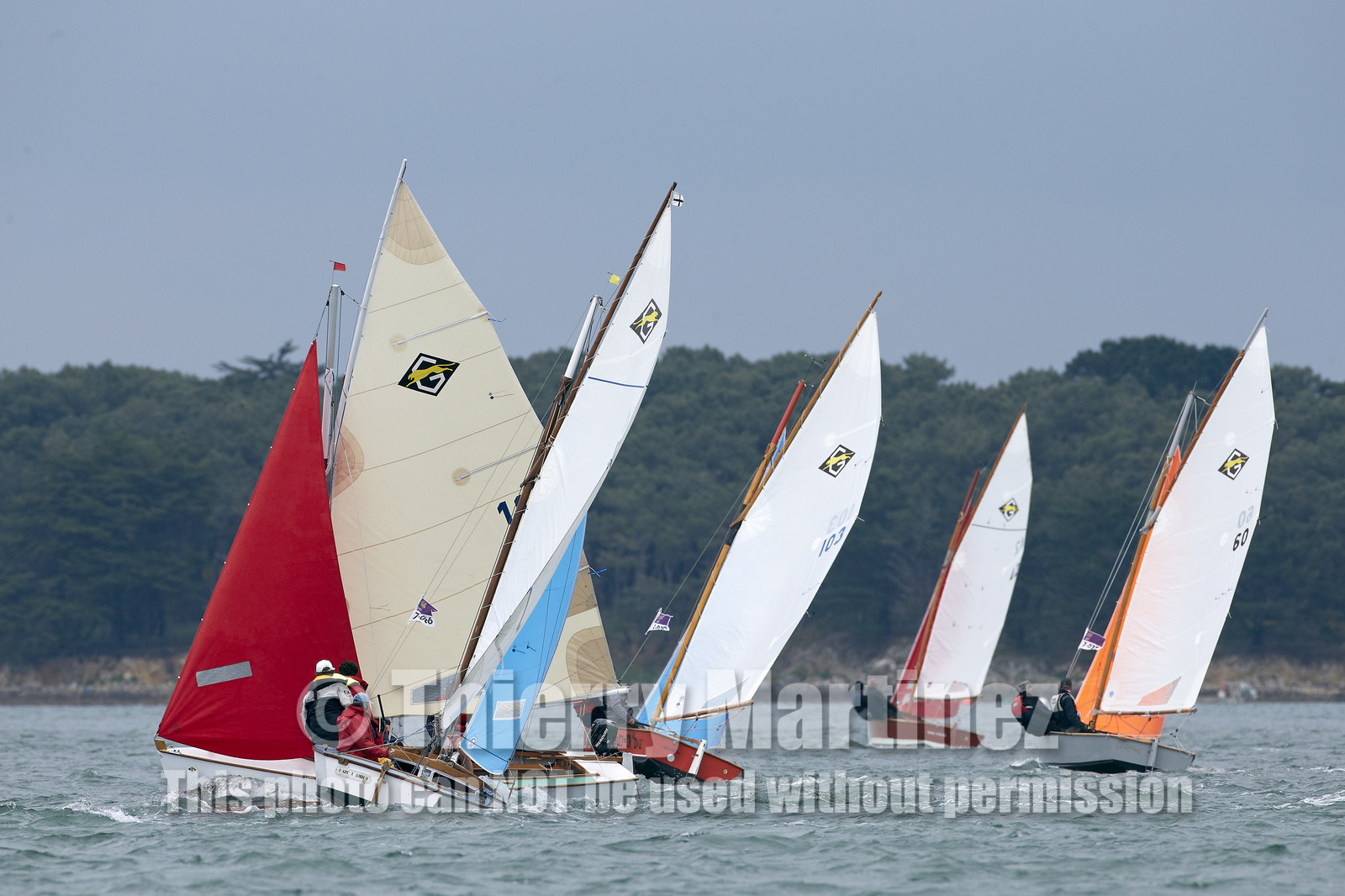 THM-15_46274-SEMAINE du Golfe