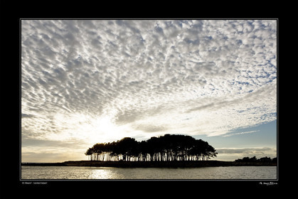 Photo disponible en tirage photo Fine Art,tirage original limités à 30 exemplaires.Chaque tirage est numéroté avec certificat d’authenticité signé.Pour choisir le format et support merci d'utiliser le caddie à coté de la photo.Formats disponibles : Tirage sur papier ( tirage seul) :  30x45 cm   40x60 cm  60x90 cm. Vous pouvez choisir le tirage avec un fond blanc ou noir , à votre convenance. Tirage sur papier contrecollé sur Dibond ( pas de bord blanc ou noir autour de l'image), avec système d'attache au dos:  30x45 cm   40x60 cm  50x75 cm  80x120cm.Tirage sur toile ( Canvas) monté sur chassis bois (pas de bord blanc ou noir autour de l'image), avec système d'attache au dos :  50x75 cm  80x120cm.Expédition ( Dans le monde entier): Colissimo (assurance) avec signature à réception. 48h pour la France métropolitaine.Il est possible de récupérer les tirages à La Galerie du Golfe (sans frais d'expèdition).Conditionnement tirages seuls: tube cylindrique renforcé + boite.