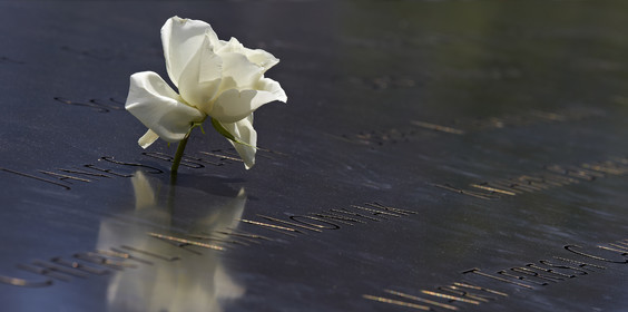 New York City (USA).