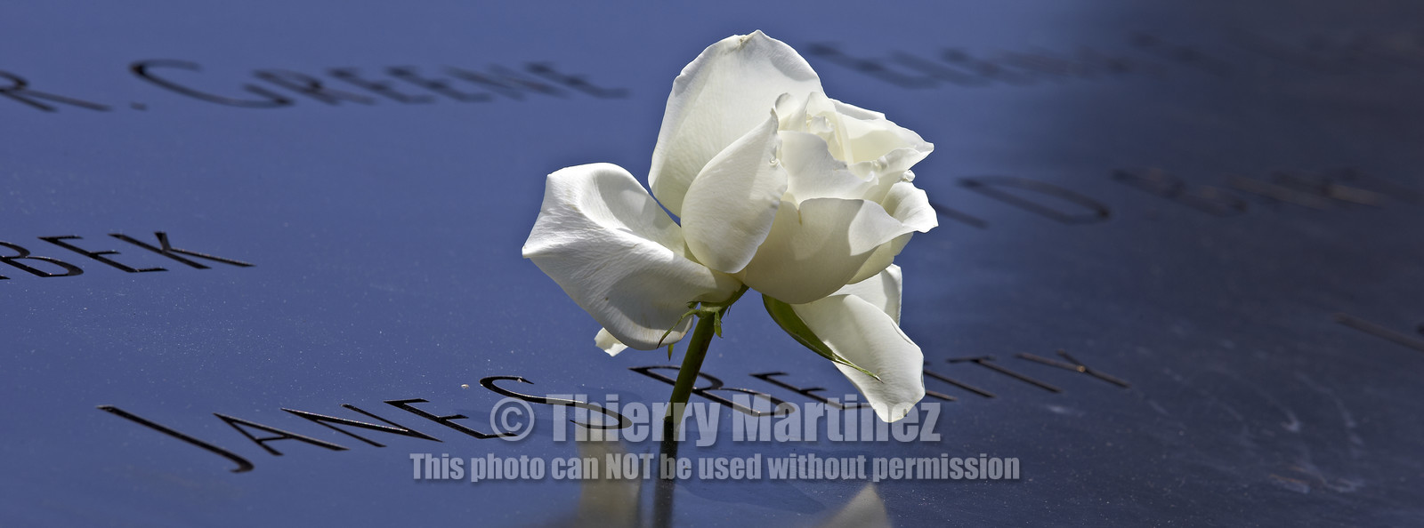 New York City (USA).