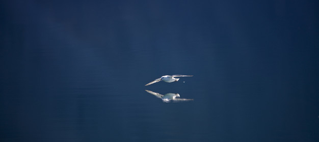 Schooner LA LOUISE sailing on west coast of Greenland.