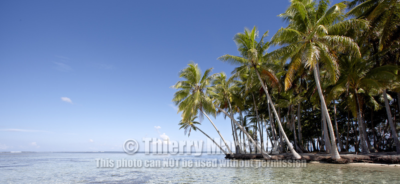 15_024856  ©ThMartinez Sea&Co.  RAIATEA - ILES SOUS LE VENT. POLYNESIE FRANCAISE .  2 Février 2015. ..